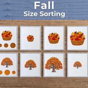 Fall Size Sorting Activity | Small Medium Large Math | Preschool Kindergarten Printable