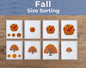 Activité de tri par taille sur le thème de l'automne | Mathématiques : Petit, Moyen, Grand | Fiche imprimable pour la maternelle et le CP