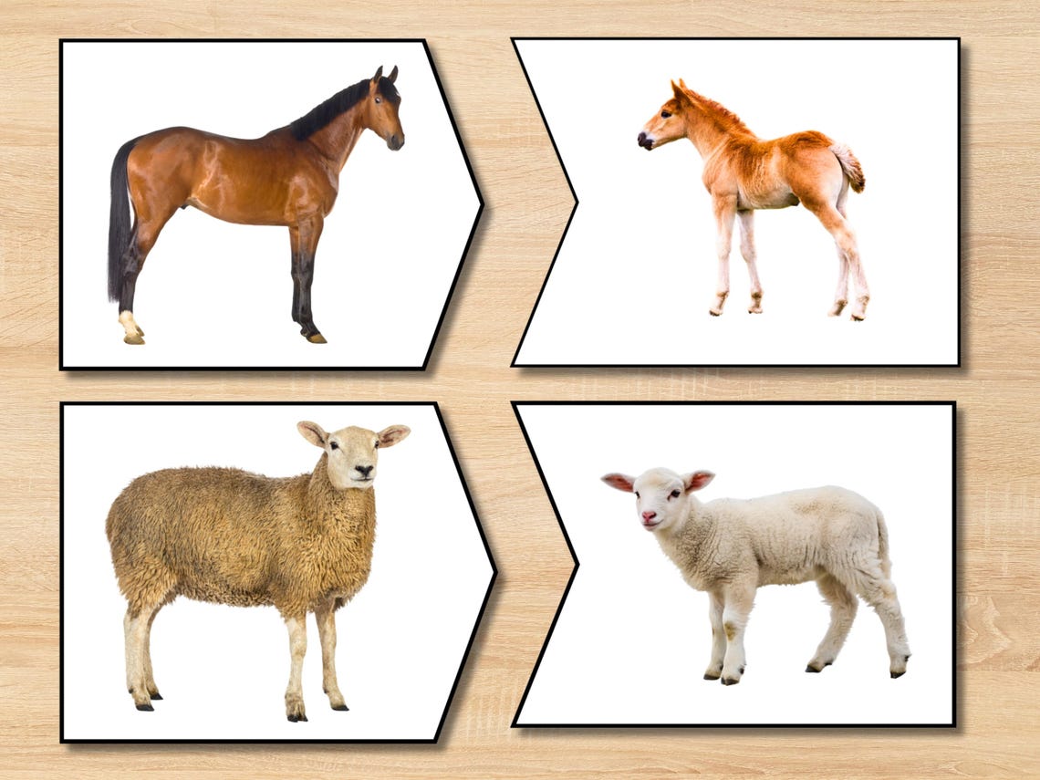 Montessori Mom & Baby Animals Matching Game | Printable Puzzle Activity ...