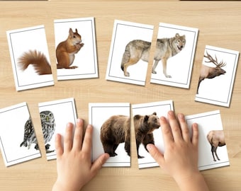 Juego de emparejamiento de animales del bosque / Tarjetas de rompecabezas Montessori / Actividad imprimible para preescolar, niños pequeños y educación en casa