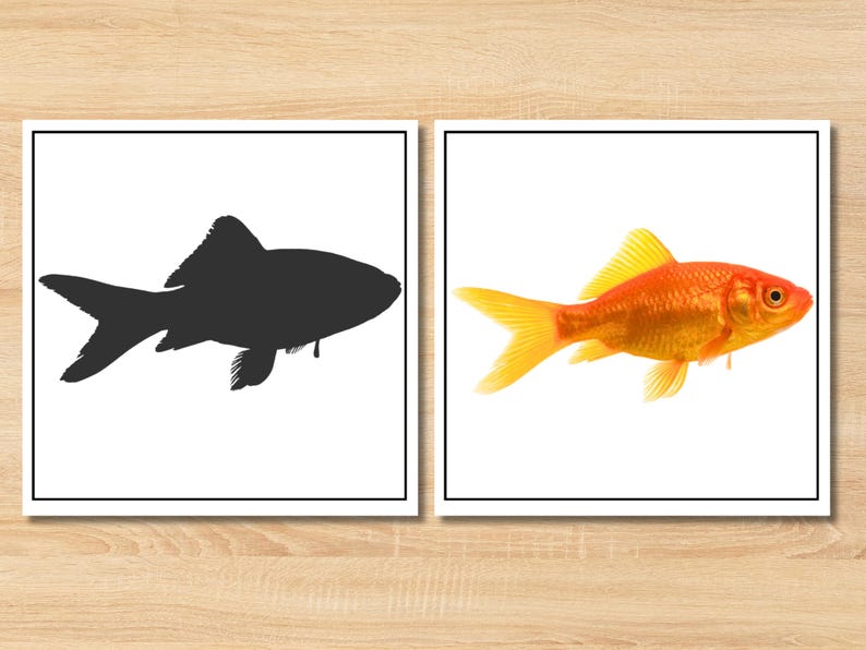 Unlock the joy of learning with our Montessori Pet Animals Shadow Matching Game! This engaging preschool printable activity is perfect for toddlers, classrooms, and homeschool settings.