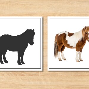Explore the fun of learning with our Montessori Pet Animals Shadow Matching Game! This engaging preschool printable activity is perfect for toddlers, providing a hands-on experience that enhances cognitive skills. Ideal for both classroom settings and homeschooling, this game promotes recognition, matching, and fine motor skills while keeping little ones entertained. Download the game instantly and introduce a playful educational tool to your teaching resources today!