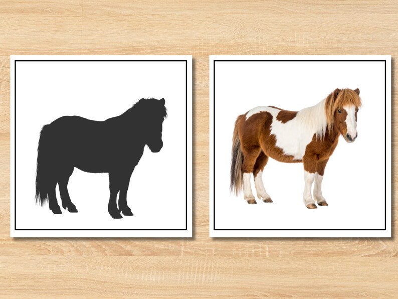 Explore the fun of learning with our Montessori Pet Animals Shadow Matching Game! This engaging preschool printable activity is perfect for toddlers, providing a hands-on experience that enhances cognitive skills. Ideal for both classroom settings and homeschooling, this game promotes recognition, matching, and fine motor skills while keeping little ones entertained. Download the game instantly and introduce a playful educational tool to your teaching resources today!