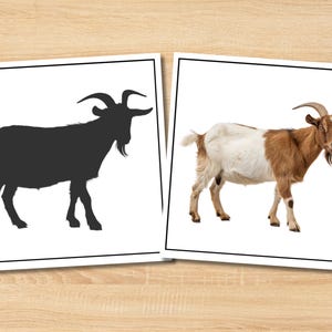 Farm Animal Shadow Matching Cards | Printable Preschool Activity