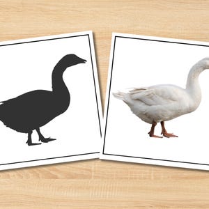 Farm Animals Shadow Match Cards | Montessori Activity for Preschool