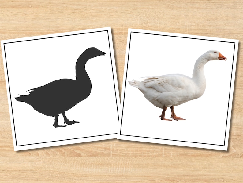 Farm Animals Shadow Match Cards | Montessori Activity for Preschool