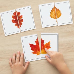 May include: Educational puzzle cards featuring watercolor illustrations of autumn leaves. The cards are divided into two pieces, with a child's hands interacting with one of the puzzles. The leaves are in shades of red, orange, and yellow.