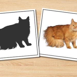 May include: Two framed prints featuring cats. One print shows a black silhouette of a fluffy cat. The other print displays a ginger cat with fluffy fur, standing and looking towards the viewer. The prints are on a light wood grain surface.