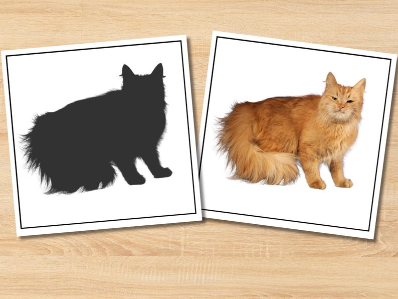 May include: Two framed prints featuring cats. One print shows a black silhouette of a fluffy cat. The other print displays a ginger cat with fluffy fur, standing and looking towards the viewer. The prints are on a light wood grain surface.
