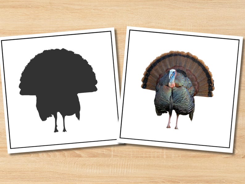 May include: Two framed images of a turkey. One is a black silhouette of a turkey with its tail feathers fanned out. The other is a full-color image of a turkey with brown, blue, and red feathers, standing with its tail feathers fanned.