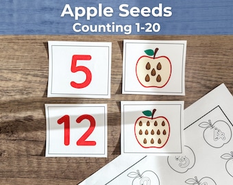 Comptage des pépins de pomme de 1 à 20 et tracé des chiffres | Fiche mathématique Montessori à imprimer pour la maternelle et le CP