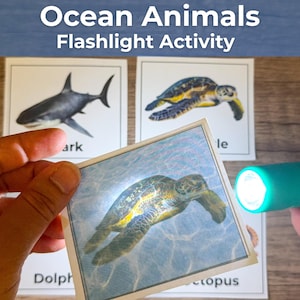 Jogo de Revelação com Lanterna de Animais Marinhos | Atividade Montessori de Correspondência para Educação Infantil e Pré-Escolar