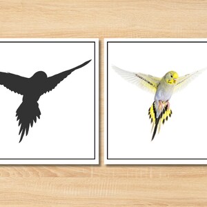 Unlock a world of learning with our Montessori Pet Animals Shadow Matching Game! This engaging preschool printable activity is perfect for toddlers, classrooms, and homeschool settings.