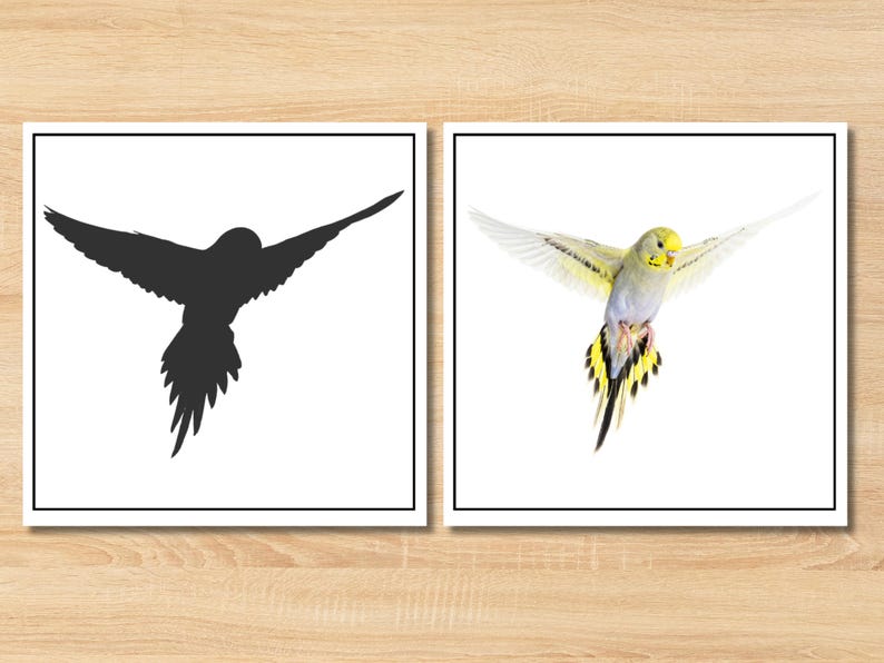 Unlock a world of learning with our Montessori Pet Animals Shadow Matching Game! This engaging preschool printable activity is perfect for toddlers, classrooms, and homeschool settings.