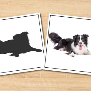 May include: Two framed images on a wood surface. One is a black silhouette of a dog lying down. The other is a color photo of a black and white Border Collie dog with its tongue out, lying down.