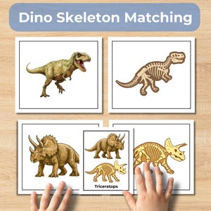 May include: A set of dinosaur matching cards with the text "Dino Skeleton Matching". The cards feature illustrations of dinosaurs and their corresponding skeletons, including a Tyrannosaurus Rex and Triceratops.