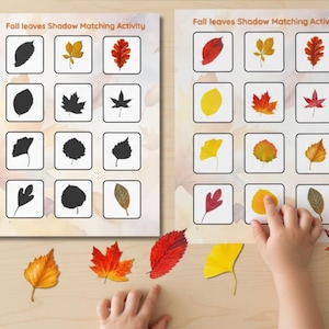 May include: Two educational activity sheets with the text "Fall leaves Shadow Matching Activity" feature leaf silhouettes and matching color images. Colorful fall leaves are scattered around the sheets, and a child's hand is pointing at a leaf.