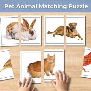 May include: A Pet Animal Matching Puzzle game consisting of rectangular cards featuring photographic images of a rabbit, a dog, a cat, and a bird. Each card is divided into two parts, showing different sections of the animals on a white background.