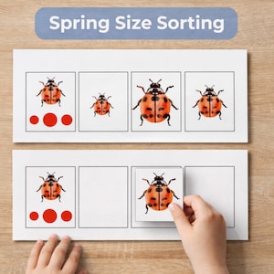 May include: A spring-themed educational activity featuring ladybugs and red circles. The text "Spring Size Sorting" is displayed on a blue banner. The activity involves sorting ladybug images by size, with a child's hand interacting with the cards.