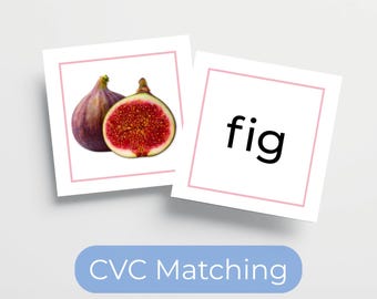 モンテッソーリ ピンクシリーズ CVC 単語マッチング | 幼稚園・ホームスクール向け短母音I 印刷可能なフォニックスアクティビティ