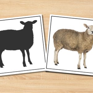 Farm Animals Shadow Matching Cards | Preschool Montessori Printable