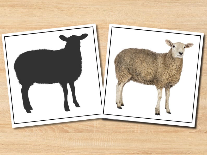 Farm Animals Shadow Matching Cards | Preschool Montessori Printable