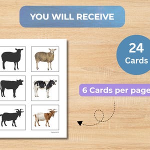 Farm Animals Shadow Matching Cards | Preschool Visual Discrimination