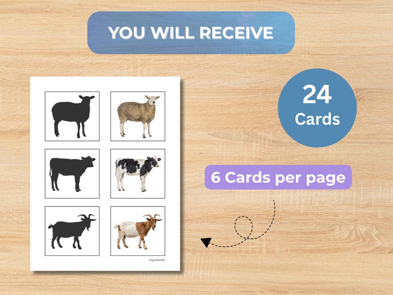 Farm Animals Shadow Matching Cards | Preschool Visual Discrimination