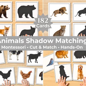 Op de afbeelding: Een set van 182 vierkante kaarten voor dier-schaduw-matching activiteiten. Elke kaart toont een realistische kleurenfoto van een dier of het bijbehorende zwarte silhouet. De tekst 182 Cards Animals Shadow Matching is zichtbaar op de afbeelding.