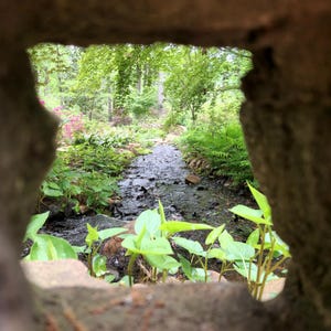 Nature Photography, Outdoor photography, Tranquil Image, Scenic Image, Stream Photo, Serene Image, Leaves Photo, Digital Download