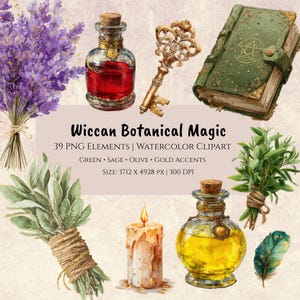 Pacote de clipart botânico de bruxa - Ervas místicas, poções, velas - Magia em aquarela verde - Download digital