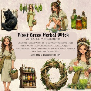 Conjunto de clipart de bruxa de ervas Cottagecore PNG Pacote Planta verde Floresta mágica Bruxa Estética Transparente Aquarela