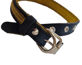Blue & Yellow Leather Dog Collar: Small Breed Puppy Collar
