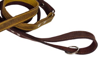 Two-Tone Leather Dog Leash: Durable Training Lead for Medium/Large Dogs
