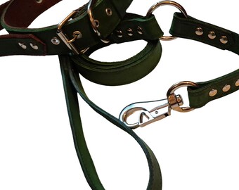 Conjunto de collar y correa de cuero verde para perro: hecho a mano, resistente, para perros grandes