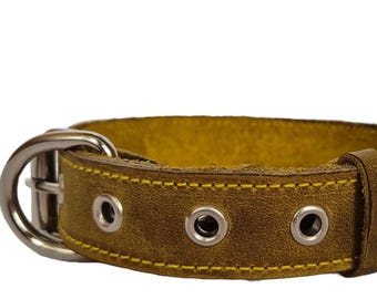 Braided Leather Dog Collar: Sunshine Yellow, Small to Medium Dogs