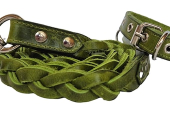 Green Leather Dog Collar with Braided Leash: Medium Dogs
