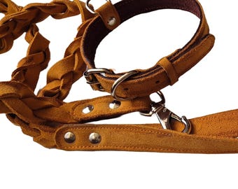 Designer Dog Walking Gear for Fashionable Furry Friends - Ideal for Medium Size Dogs