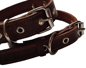 Collares de cuero marrón para dos perros - 21 pulgadas y 23 pulgadas