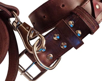 Dual Color Leather Dog Collar & Leash Set, Pet Accessory, Personalized Gifts, Dog Collar with Name