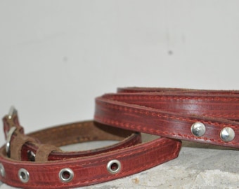 Dual Color Dog Leash and Collar Set