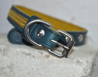 Zweifarbiges Hundehalsband in Blau und Gelb für kleine Hunderassen
