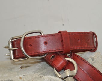Conjunto de collar y correa de cuero rojo con pinchos para perro, collar de cuero para perro, regalos personalizados, collar para perro con nombre, accesorios de cuero
