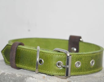 Collar de perro de cuero verde, collares de perro personalizados, collar de perro personalizado, collar de perro grabado, collar de perro con nombre