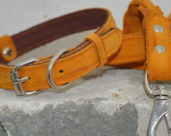 Leather Dog Collar, Leather Dog Leash, Engraved Dog Collar, Dog Collar with Name