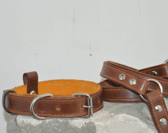 Orange and Brown Leather Dog Collar and Leash Set, Dog Collar with Name, Custom Pet Collar, Pet Lovers Gift