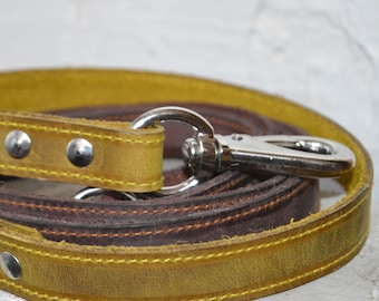 Correa larga bicolor para perros - Accesorios para mascotas, correa amarilla y marrón