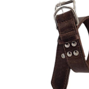 Elegant Custom Dog Collar - Stylish & Durable for Medium Breeds, brown dog collar, (56cmX3.5cm) (22inchX1.38 inch)