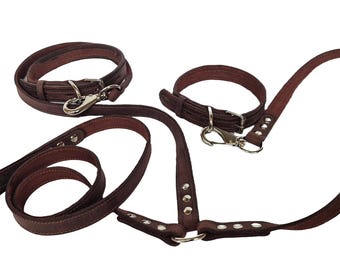 Two-Dog Brown Leather Leash and Collar Set - Medium Breeds