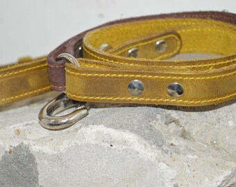 Conjunto de collar y correa de cuero bicolor de primera calidad para perros, accesorios de cuero, correa marrón para perros, collar amarillo para perros.